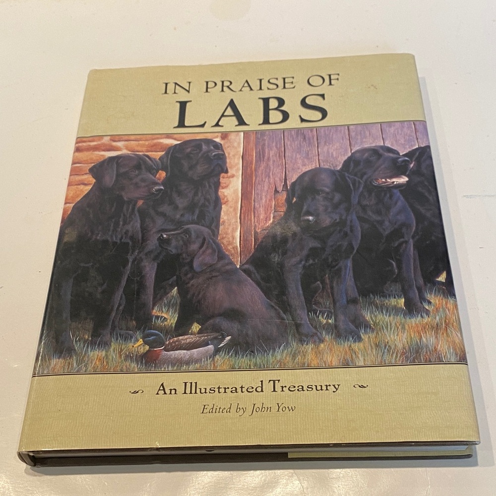 “In Praise of Labs,”